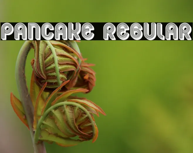 Pancake Regular Example 1