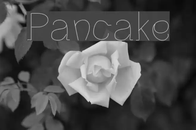 Pancake Font examples