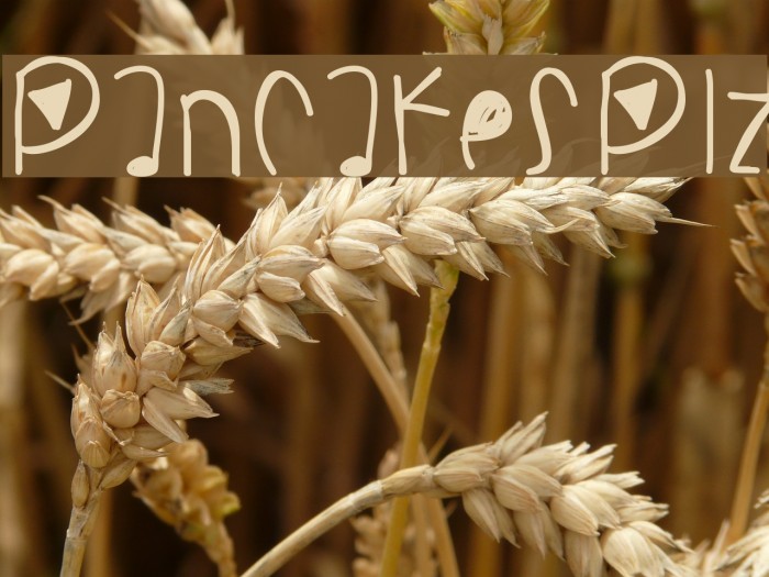 PancakesPlz Example 1