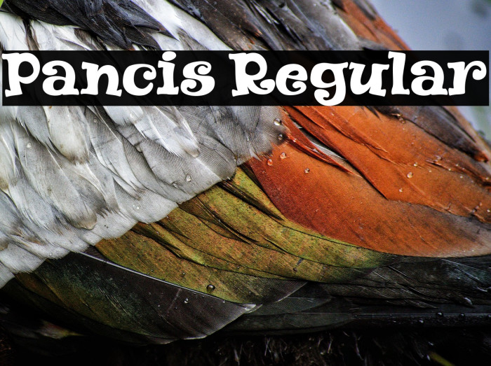 Pancis Regular Example 1