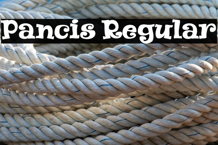 Pancis Regular Example 2