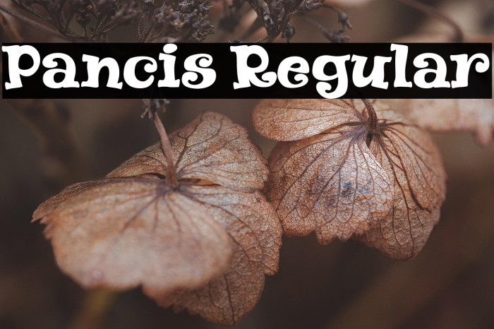 Pancis Regular Example 3