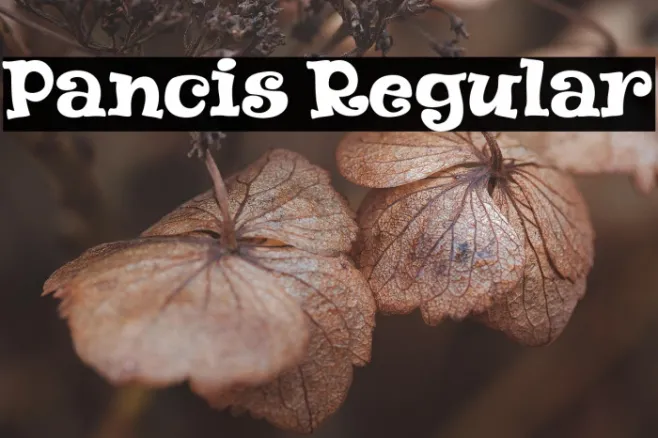 Pancis Regular Example 3