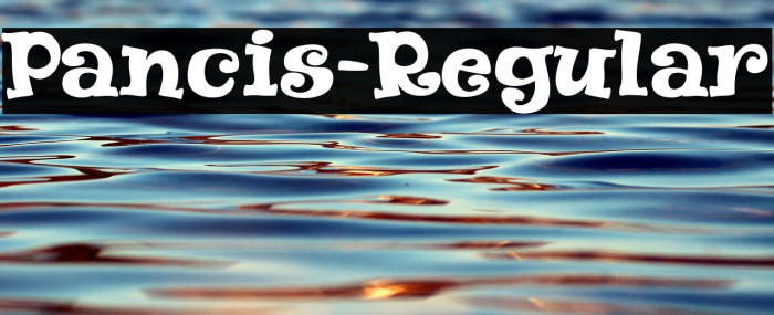 Pancis-Regular Example 1