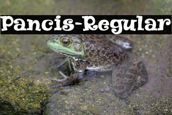 Pancis-Regular Example 2