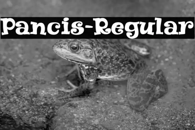 Pancis-Regular Font examples