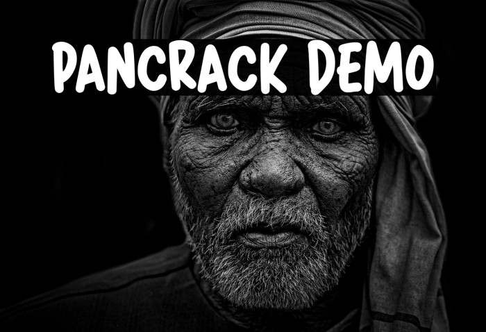 Pancrack DEMO Example 1