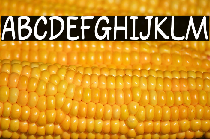 Panda Boss Font examples