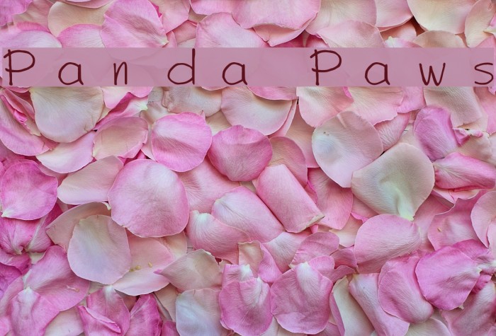 Panda Paws Font examples