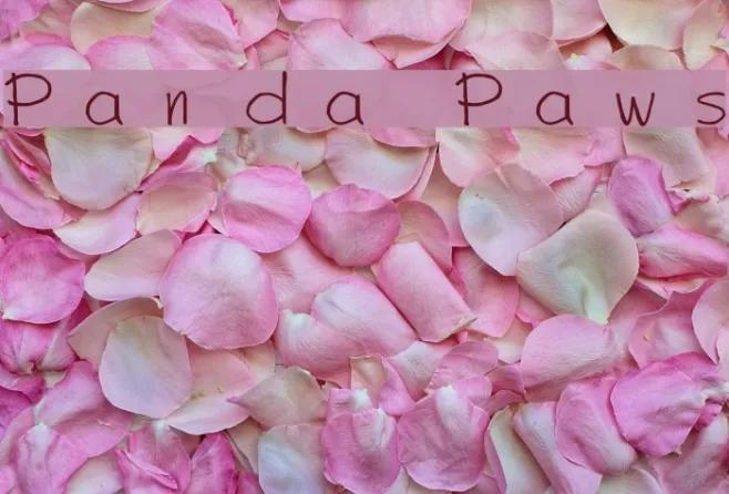 Panda Paws Example 2