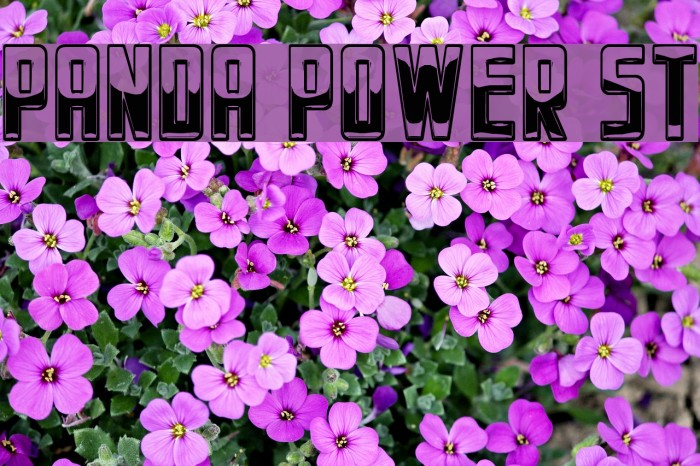 Panda Power St Font examples