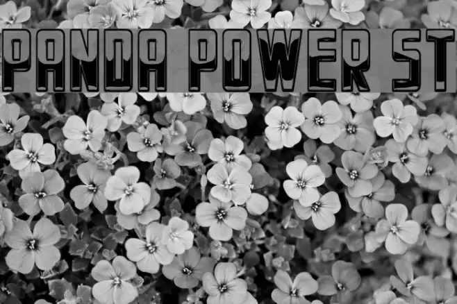 Panda Power St Font examples