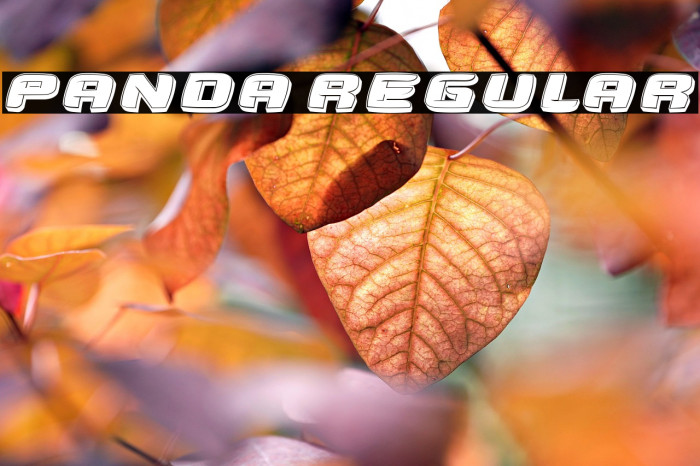 Panda Regular Example 1