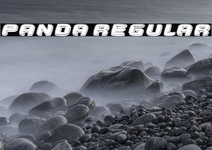 Panda Regular Example 2