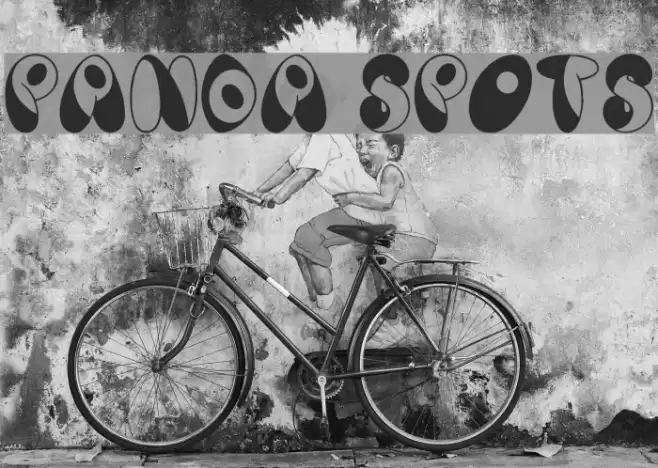 Panda Spots Font examples