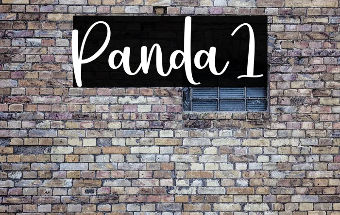 Panda1 Example 2