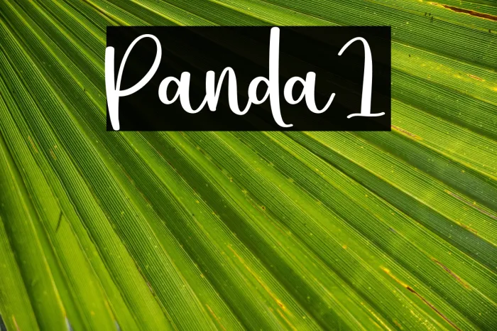 Panda1 Example 3