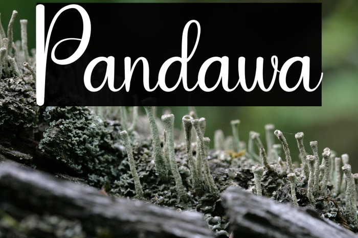 Pandawa Example 1