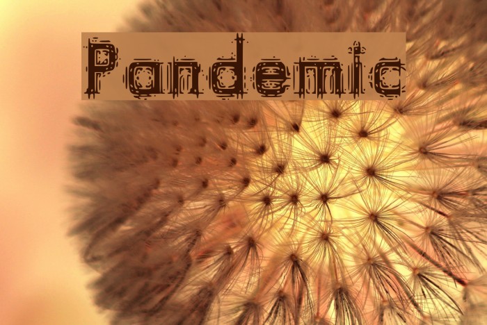 Pandemic Font examples