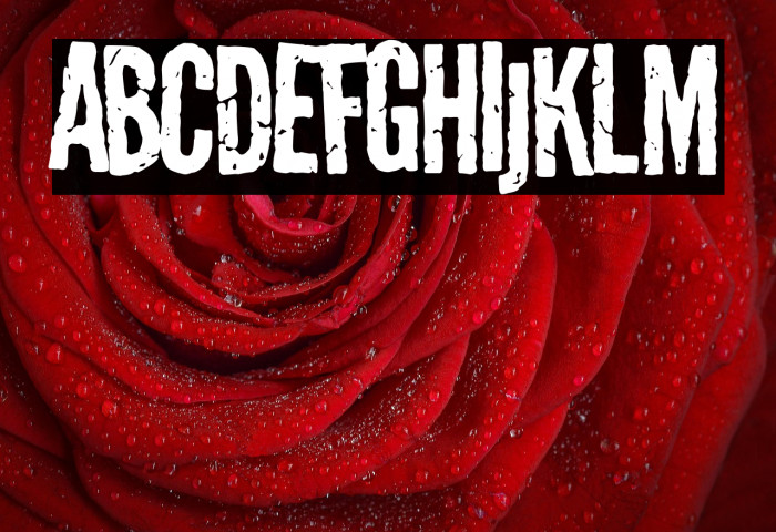 Pandemic&co Example 3