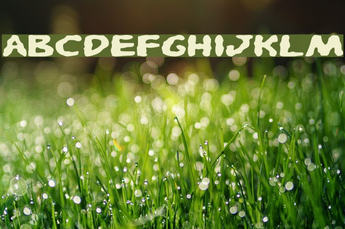 Pandemonious Puffery Expanded 字体 examples