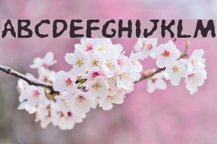 Pandemonious Puffery Light Font examples