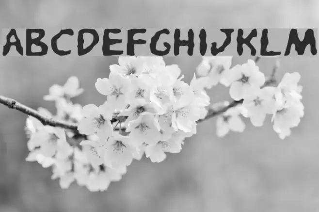 Pandemonious Puffery Light 字体 examples