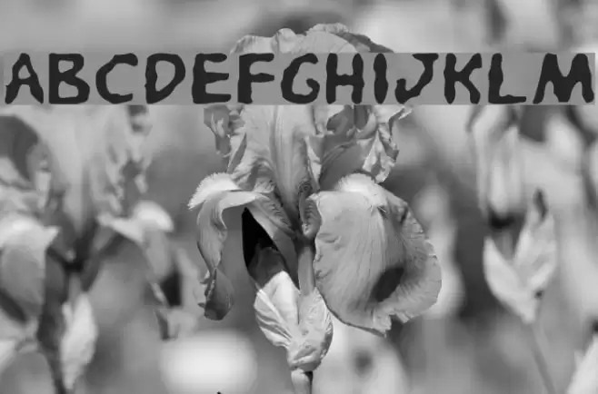Pandemonious Puffery Light 字体 examples