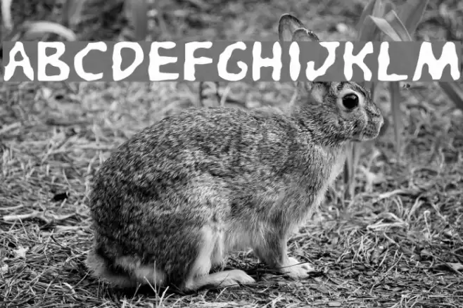 Pandemonious Puffery Light 字体 examples