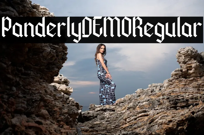 Panderly DEMO Regular Example 1