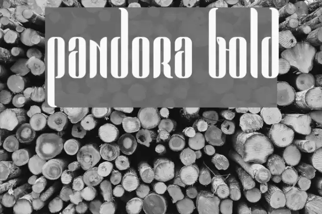 Pandora Bold Font examples