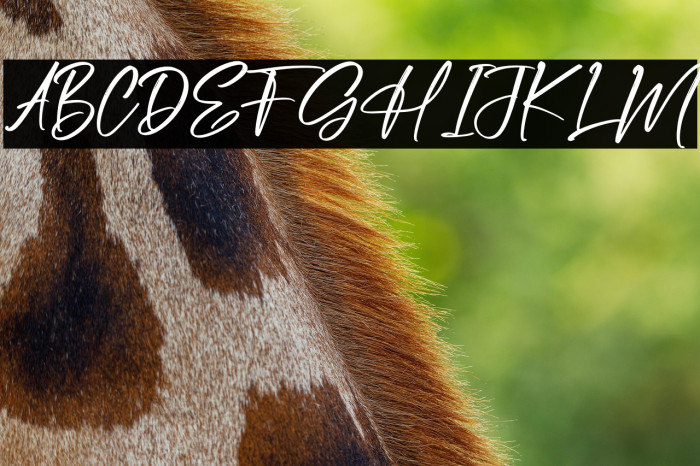 Pandora Rogtars Example 3