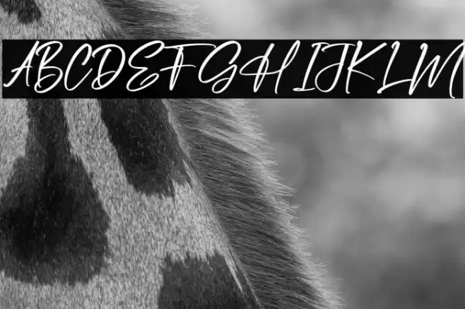 Pandora Rogtars Fuentes examples