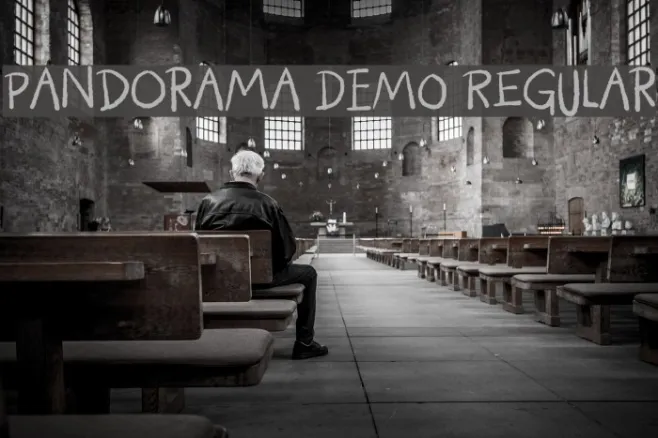 Pandorama DEMO Regular Example 2