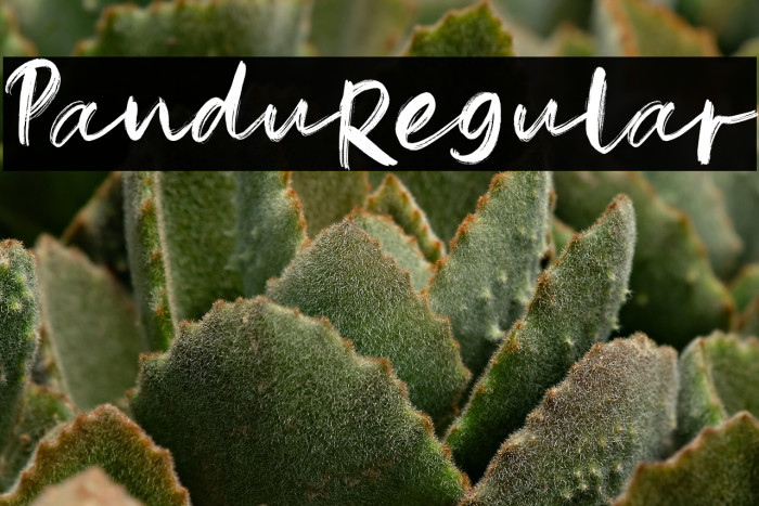 Pandu-Regular Example 1