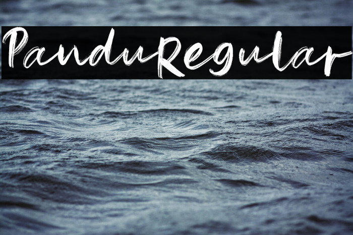 Pandu-Regular Example 2