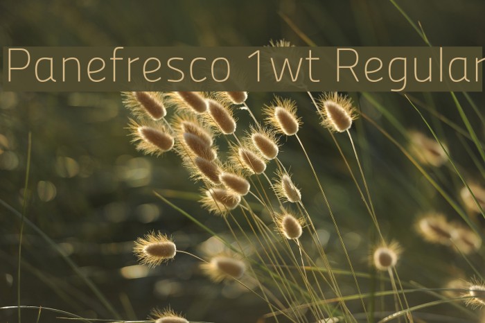 Panefresco 1wt Regular Font examples