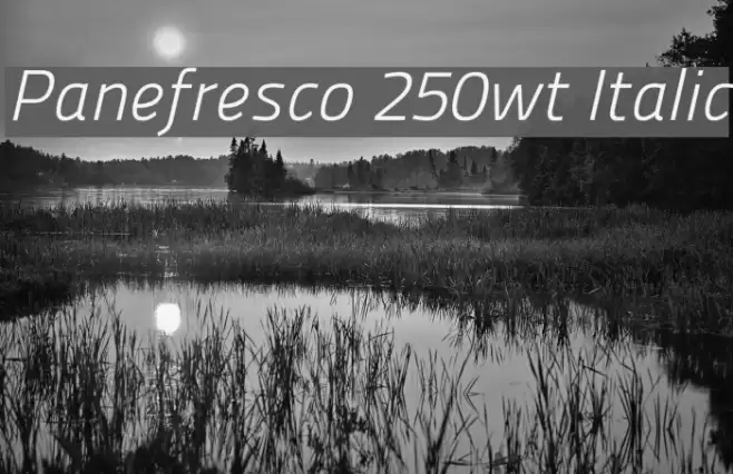 Panefresco 250wt Italic Schriftart examples