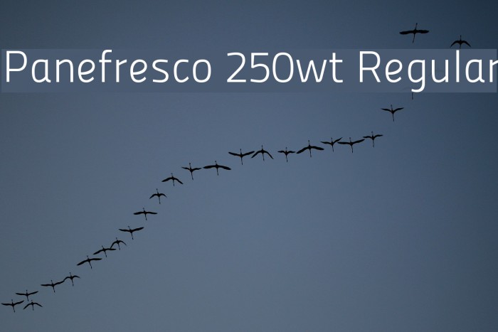 Panefresco 250wt Regular Font examples