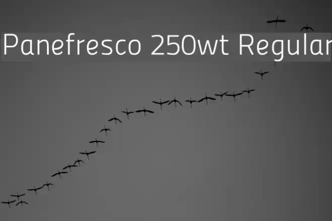 Panefresco 250wt Regular Font examples