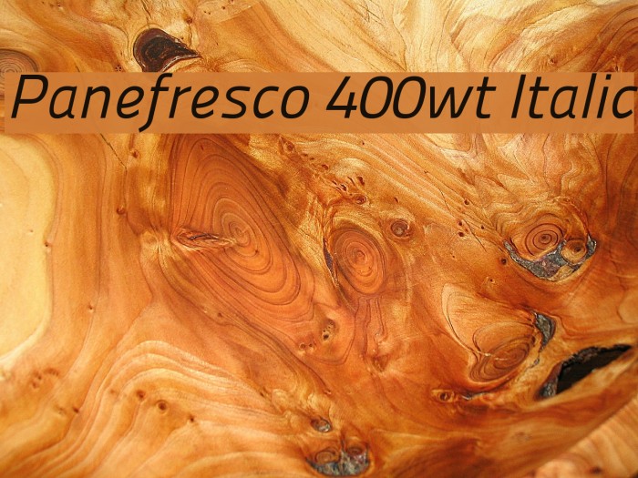 Panefresco 400wt Italic Font examples