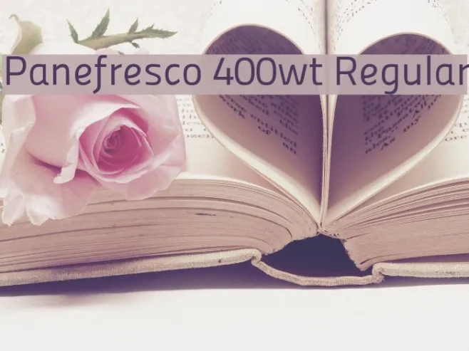 Panefresco 400wt Regular Example 1