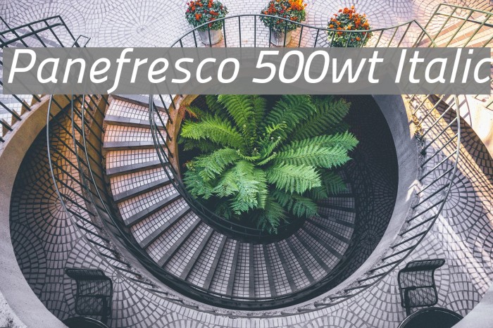 Panefresco 500wt Italic Font examples