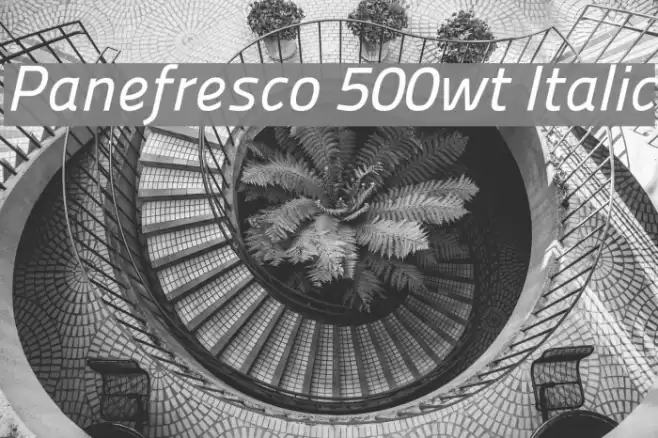 Panefresco 500wt Italic Font examples
