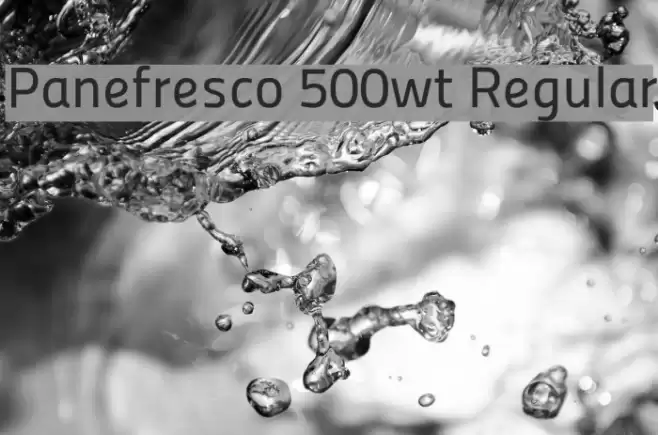 Panefresco 500wt Regular フォント examples
