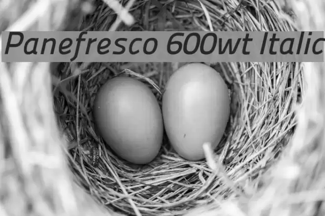 Panefresco 600wt Italic Font examples