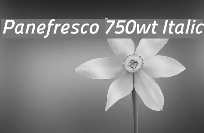 Panefresco 750wt Italic Polices examples