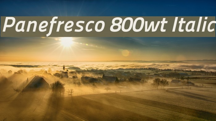 Panefresco 800wt Italic Font examples