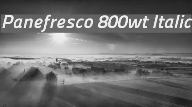 Panefresco 800wt Italic Schriftart examples