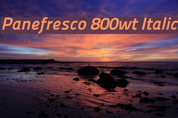 Panefresco 800wt Italic Font examples